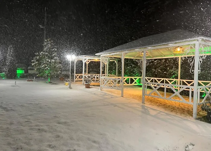 Zisi & Restaurant 4*
